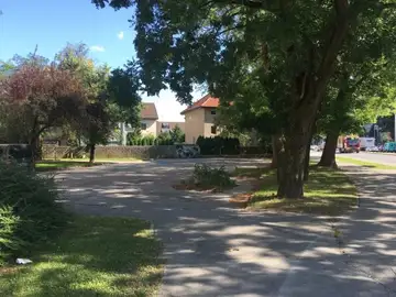 Zaraščena vegetacija ovira pločnik in cesto ob drevesih