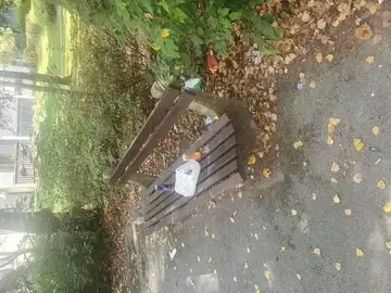 Parkovna klop z odpadki in jesenskim listjem okoli