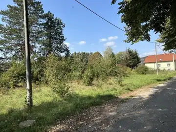 Zaraščena vegetacija ob cesti pri stanovanjskih hišah