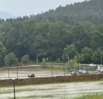 Poplavljena cesta z avtomobili in uličnimi svetilkami ob gozdu