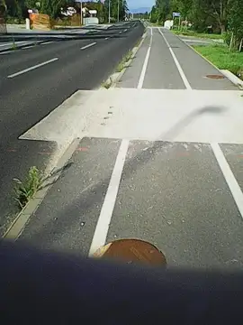 Poškodovana kolesarska steza z neenakomerno površino in plevelom