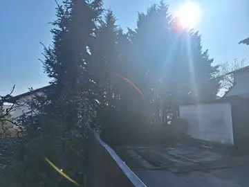 Zaraščena vegetacija ovira manjšo asfaltirano površino ob stavbah