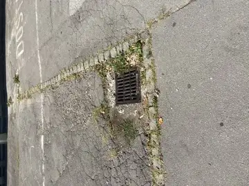 Razpokan pločnik in plevel ob cestnem odtoku