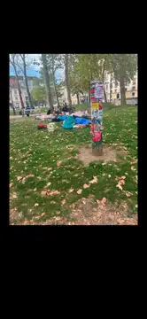 Steber s številnimi plakati v parku z raztresenimi listi