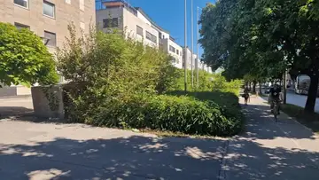 Zaraščena vegetacija ovira pločnik in kolesarsko stezo