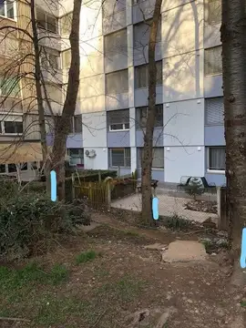 Gola drevesa in zaplata zemlje pri stanovanjskem bloku