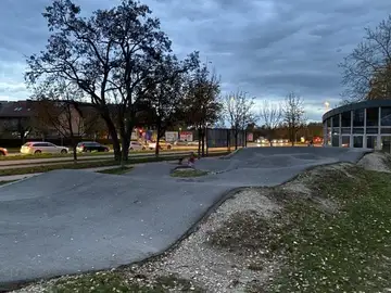 Poškodovana in neravna kolesarska steza z grbinami ob cesti in drevesih